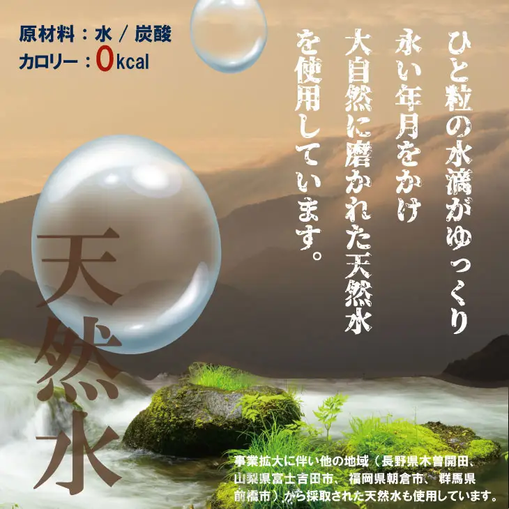 強炭酸水 1L×15本 炭酸 飲料 A060-007