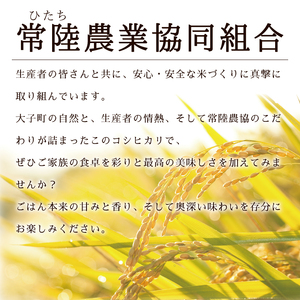 令和7年産　常陸農協の大子町産コシヒカリ10kg｜茨城県 大子町 お米 白米 精米 こしひかり ふっくら もっちり コンテスト受賞（AH003-2）