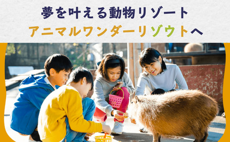 市原ぞうの国 ペア 招待券 + 動物のおやつ 1つセット 動物園 チケット 入場券 優待券 レジャー 体験 施設利用券 
