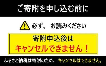 イシガミ特選品F-5 24枚入　ぬれ煎餅の発祥地「銚子市」のぬれ煎餅と従来のおせんべいの詰合せ 