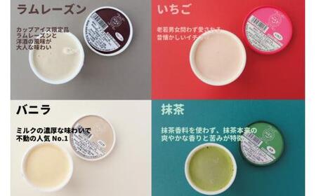 牧成舎 飛騨の牛乳屋のカップ アイスクリーム  4種12個）| デザート アイス  DF018VC13