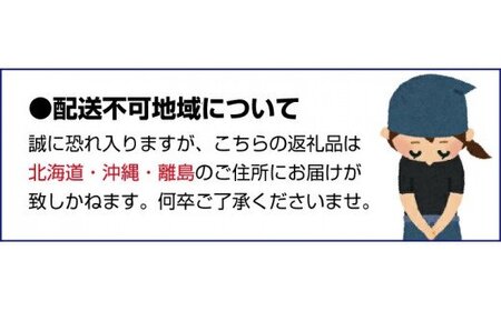【2026年秋頃発送予約分】【農家直送】こだわりの青切りみかん 約7.5kg  有機質肥料100%　 サイズ混合　※2026年9月～10月に順次発送予定（お届け日指定不可）【nuk107F】 