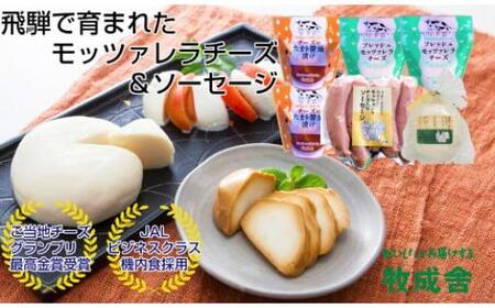 ＜牧成舎＞飛騨の美味しい乳製品を選べるチケット 3枚（チーズ＆ソーセージ・牛乳＆ヨーグルト＆チーズ・最中アイス・チーズたっぷりピザ） DF029