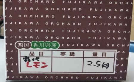 2026年秋よりお届け グリーンレモン（露地栽培）約2.5kg 果物類 柑橘類 柑橘 檸檬 