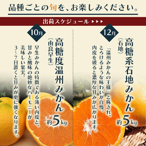 【6回 頒布会】みかん 定期便 6回 フルーツ フジカワ果樹園オリジナル（新季節の柑橘セット） 果物 