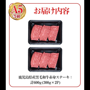 ステーキ 黒毛和牛 A5等級 赤身 ステーキ 600g 【カミチク】A228-v01