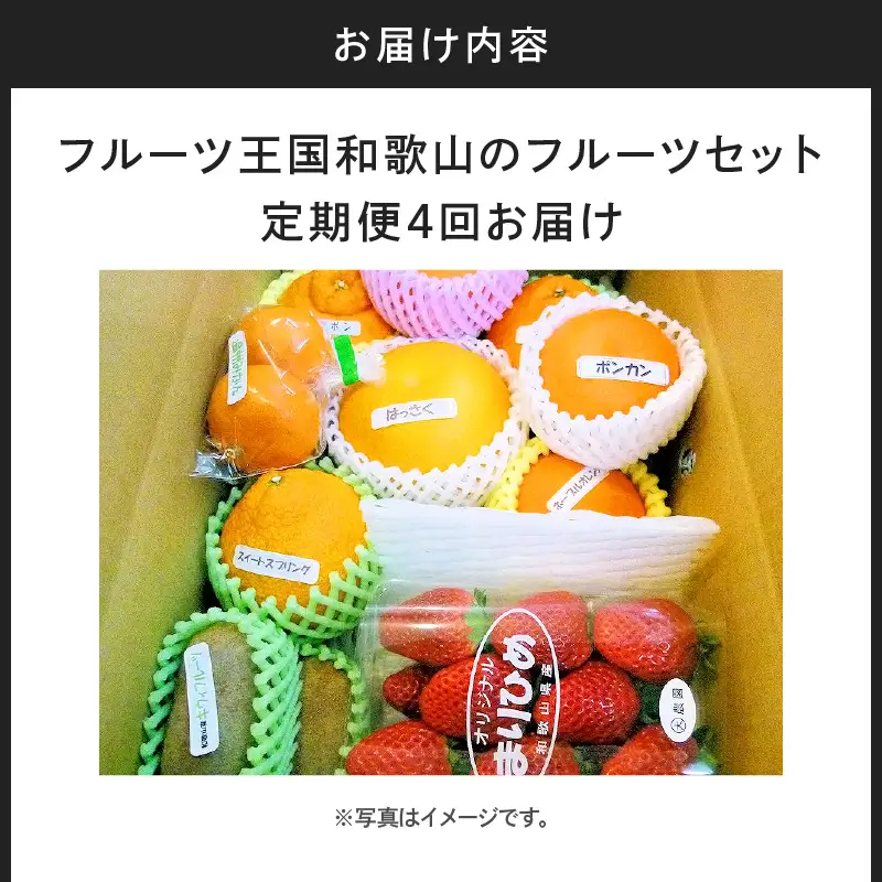 【8003-3】定期便 フルーツセット 年4回(春・夏・秋・冬)