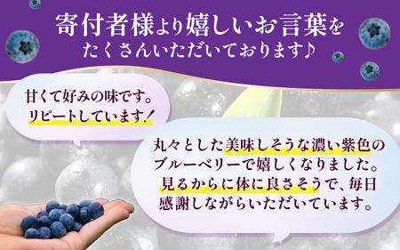 無農薬 ブルーベリー 冷凍 1kg ベリー【mnak0002A】