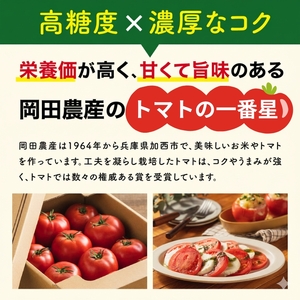トマト 2kg トマトの一番星 野菜 とまと 完熟 高糖度 甘い 受賞 冷蔵配送