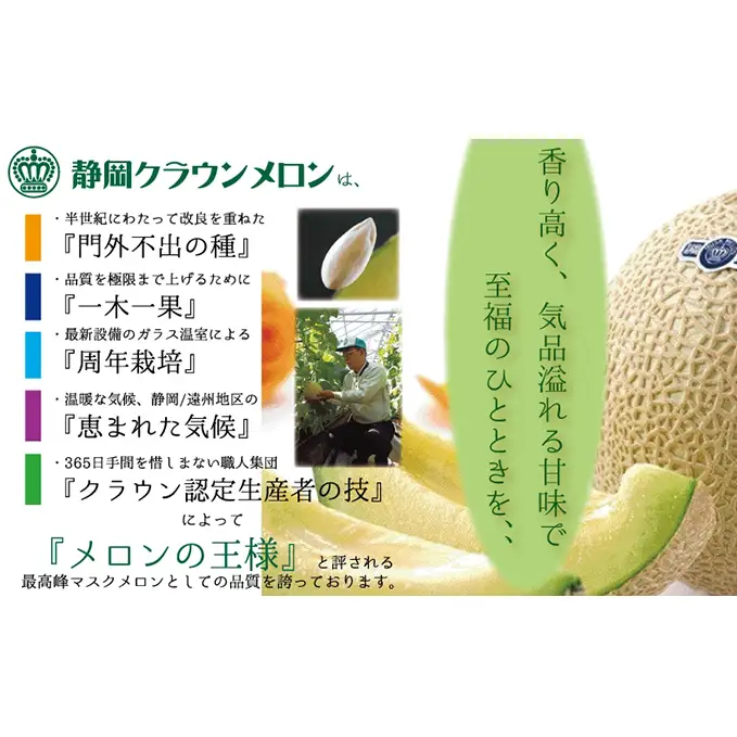 【3ヶ月定期便】クラウンメロン（白等級）特大玉　1玉入 
