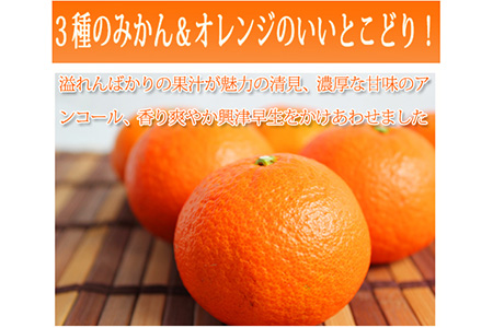 津之輝(つのかがやき) 5kg