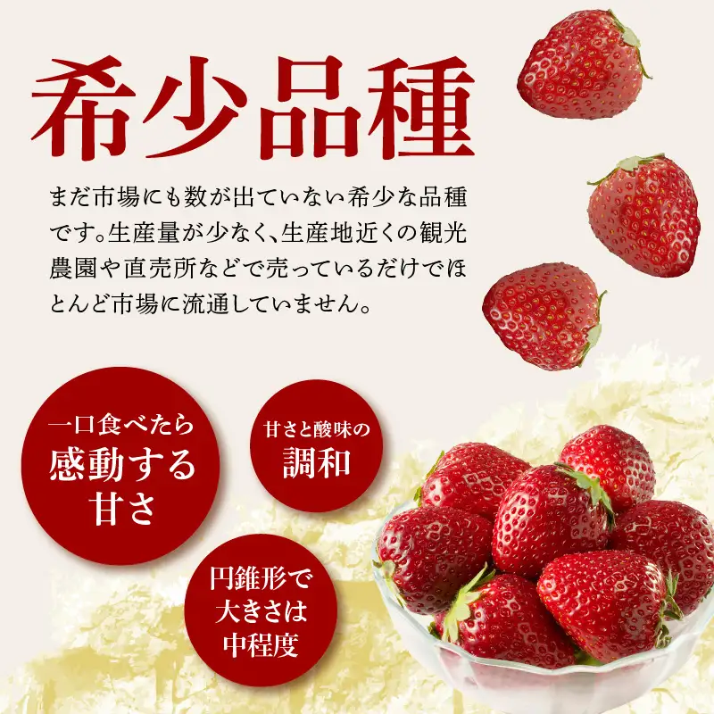 ★予約受付★黒色いちご 真紅の美鈴｜ 苺 果物 くだもの フルーツ 旬 玄海町【A063】