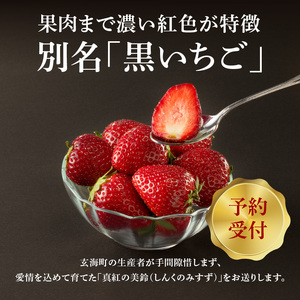 ★予約受付★玄海町産いちご“真紅の美鈴（しんくのみすず）” 毎月定期便｜苺 果物 フルーツ 旬 定期便【Z040】
