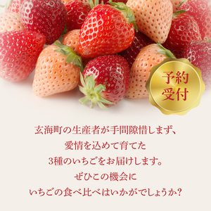 ★予約受付★3色いちご食べ比べセット｜さがほのか 白いちご 淡雪 真紅の美鈴 フルーツ 旬 玄海町【C030】