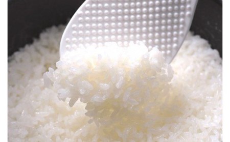 【令和7年産米】四万十育ちの美味しい「仁井田米」にこまる（2kg） ブランド米 白米 国産 低農薬 ／Bmu-C51