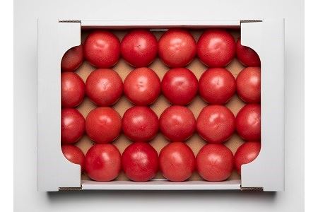 伊豆の国産！大玉トマト（4kg）