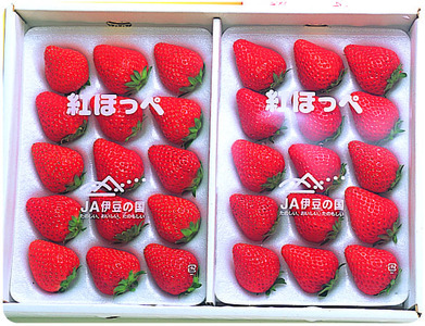 【数量限定】名産地伊豆のきらぴ香・紅ほっぺ食べ比べセット（約400g×4パック）