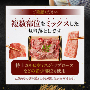 S001-024A_黒毛和牛 焼肉 カルビ ロース 切り落とし 1kg ミシュランビブグルマン 獲得 黒毛和牛 焼肉用 約 500g × 2パック A4 〜 A5 等級 厚切り きめ細かい 霜降り サシ 複数部位 ミックス 美味しい お肉 牛 牛肉 専門店 お取り寄せ グルメ 熊本県 天草市 送料無料