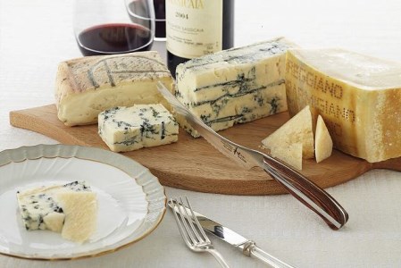 H25-12 【和 NAGOMI】チーズナイフ 刃渡り130ｍｍ【最長6ヶ月を目安に発送】