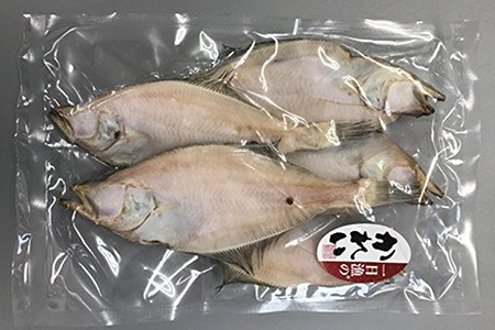【訳あり】魚の干物おまかせ詰合せセット（のどぐろ入り） 【干物 4～5種 ランダム お楽しみ 島根県産 大田市 魚介類 のどぐろ 白いか アジ カレイ 無添加 天日塩 減塩仕立て 冷凍】