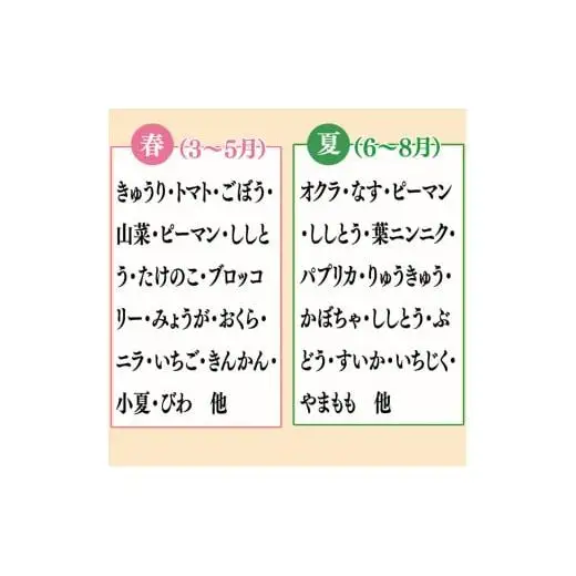 【 果物 】 果物 野菜セット 10～13 種類