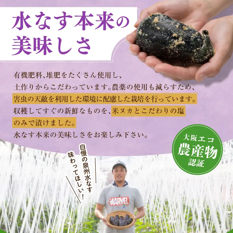 特選 無添加 水なす漬け 4個