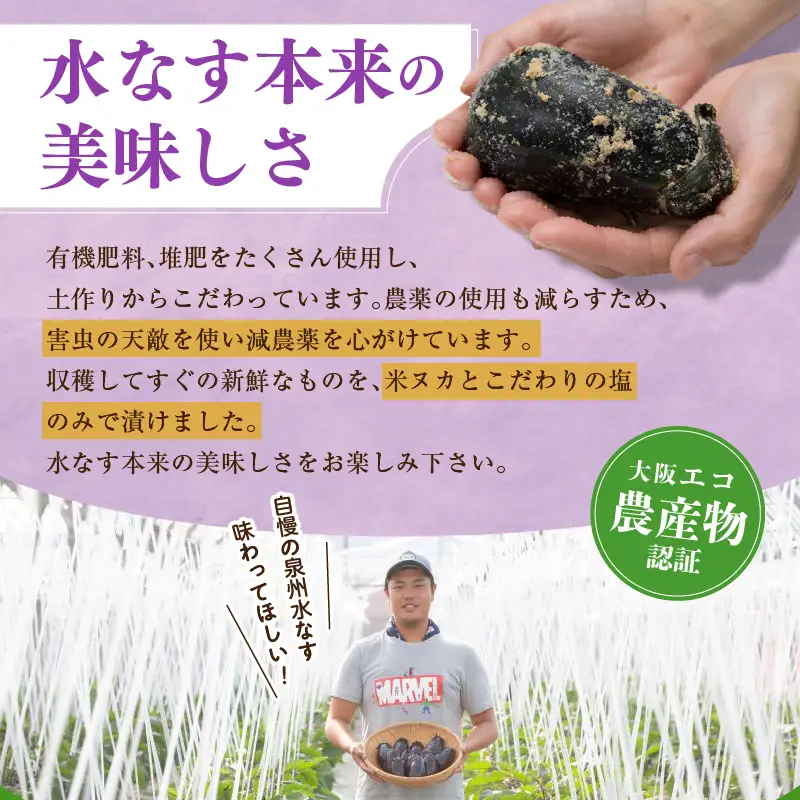特選 無添加 水なす漬け 8個