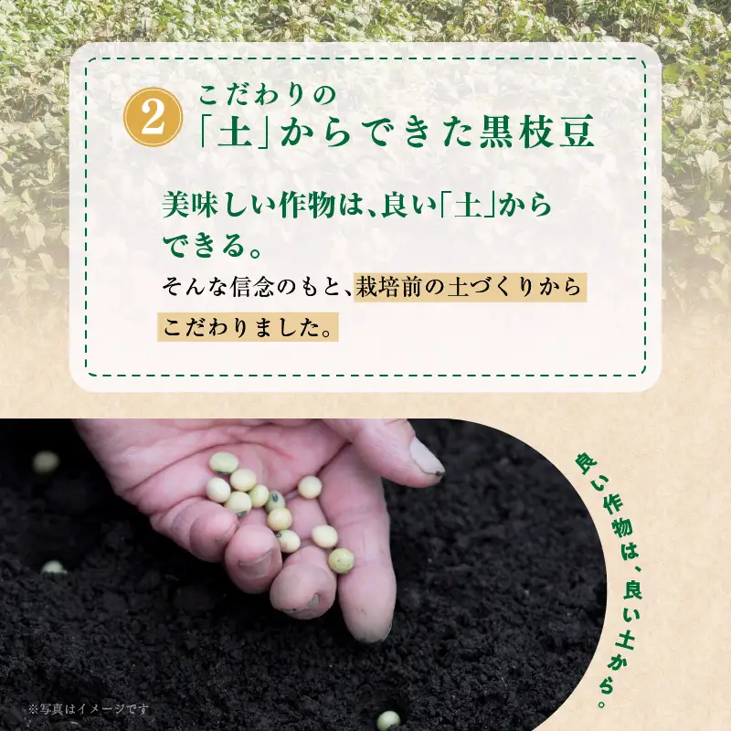 【畑から直送 朝採り】黒枝豆 3.6kg 