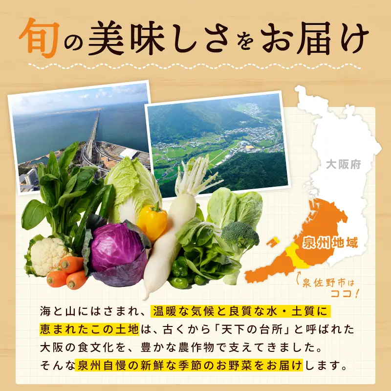 季節の泉州野菜 12種 おまかせセット ピクルスの素 2袋付き