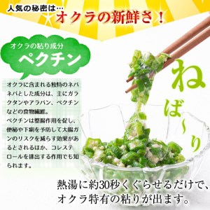 【定期便・全3回】【数量限定】鹿児島県産 冷凍オクラスライス計2.7kg(150g×6袋×3ヶ月) オクラ 野菜 冷凍 カット カット野菜 国産 定期便 頒布会 簡単 手軽 サラダ 味噌汁 スープ t0030-031