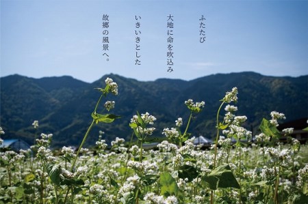 くるめほとめきのそば・くるめかおるほとめきの茶そば_くるめほとめきのそば くるめかおるほとめきの茶そば 各 80g × 2束 × 5袋 計 10袋 食べ比べ 乾麺 福岡県南部 山本町 草野町 そば 石臼挽き つなぎ 小麦粉 こわだり 福岡県産 小麦  茶そば 八女市産 抹茶 化粧箱 ギフト 贈答用 福岡県 久留米市 送料無料 〔Bu014〕
