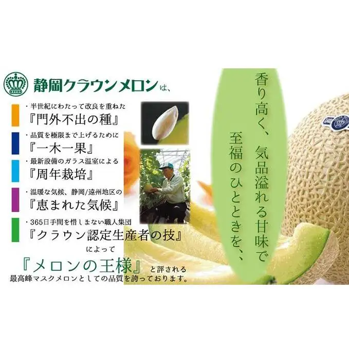 【12ヶ月定期便】クラウンメロン（白上級）1玉入 