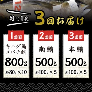 a30-207　【定期便 3回】 天然鮪 + ネギトロ 個包装20食セット