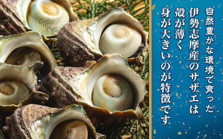 活きサザエ Aコース 1kg（8～12ヶ入り）山金商店 サザエ