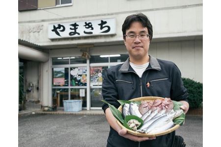 珍しい 干物 約1.5kg 前後 おまかせ 詰め合わせ セット 小分け 冷凍 食べ比べ ひもの ブリみりん干し アジ開き カマス アマダイ 小サバ トビウオ ウツボ 三重県 伊勢 志摩 南伊勢町 やまきち商店