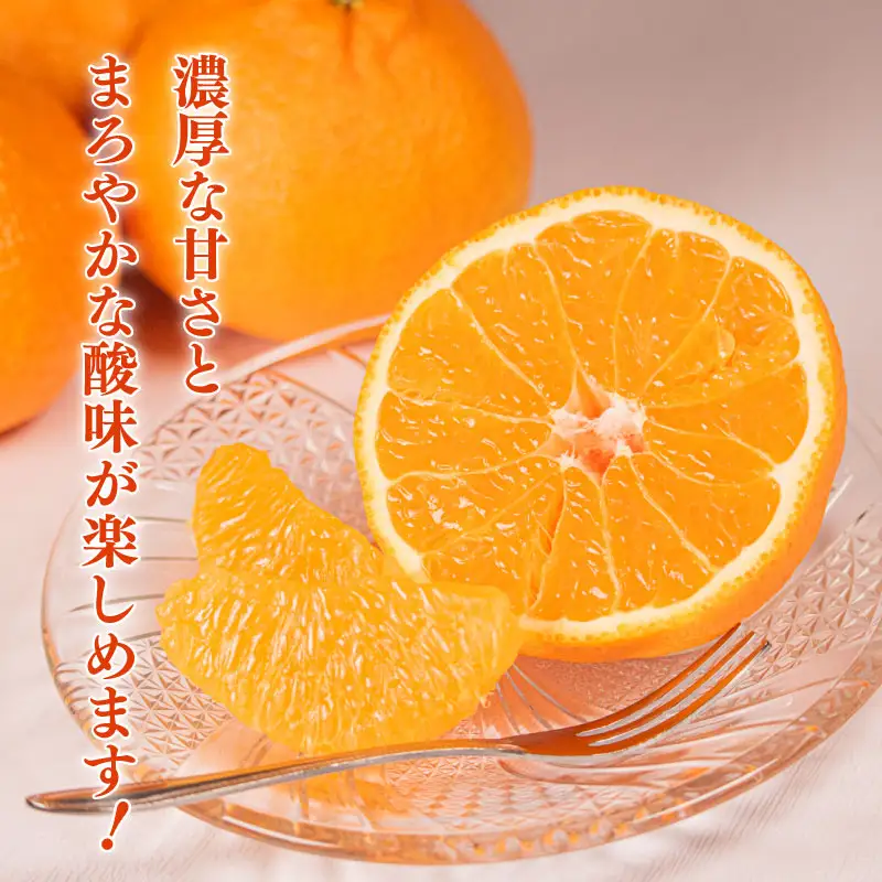 【不知火】 不知火 11～12個 アサヒ農園 【ASHN_002】