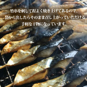 干物 セット 焼き骨なし 5種 10袋 串ひもの 串干物 山藤 天日干し 魚 海鮮 新鮮干物 ひもの ヒモノ 乾物 ひらき 鯖 さば かます サゴシ 鰹 かつお イワシ 鰯 朝食 和食 おつまみ 産地直送 国産 三重 南伊勢 伊勢志摩