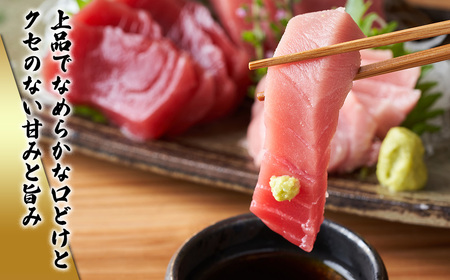 【 冷凍 】本マグロ 赤身 トロ身 約700g ブルーフィン三重 【 本鮪 】