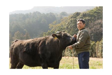 いにしえの牛肉 ロース 牛しゃぶ 約500g シャブシャブ用