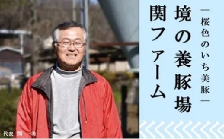 S5 小分けされて便利！茨城県産豚肉詰合せ２種２キロ！（200g×10パック）