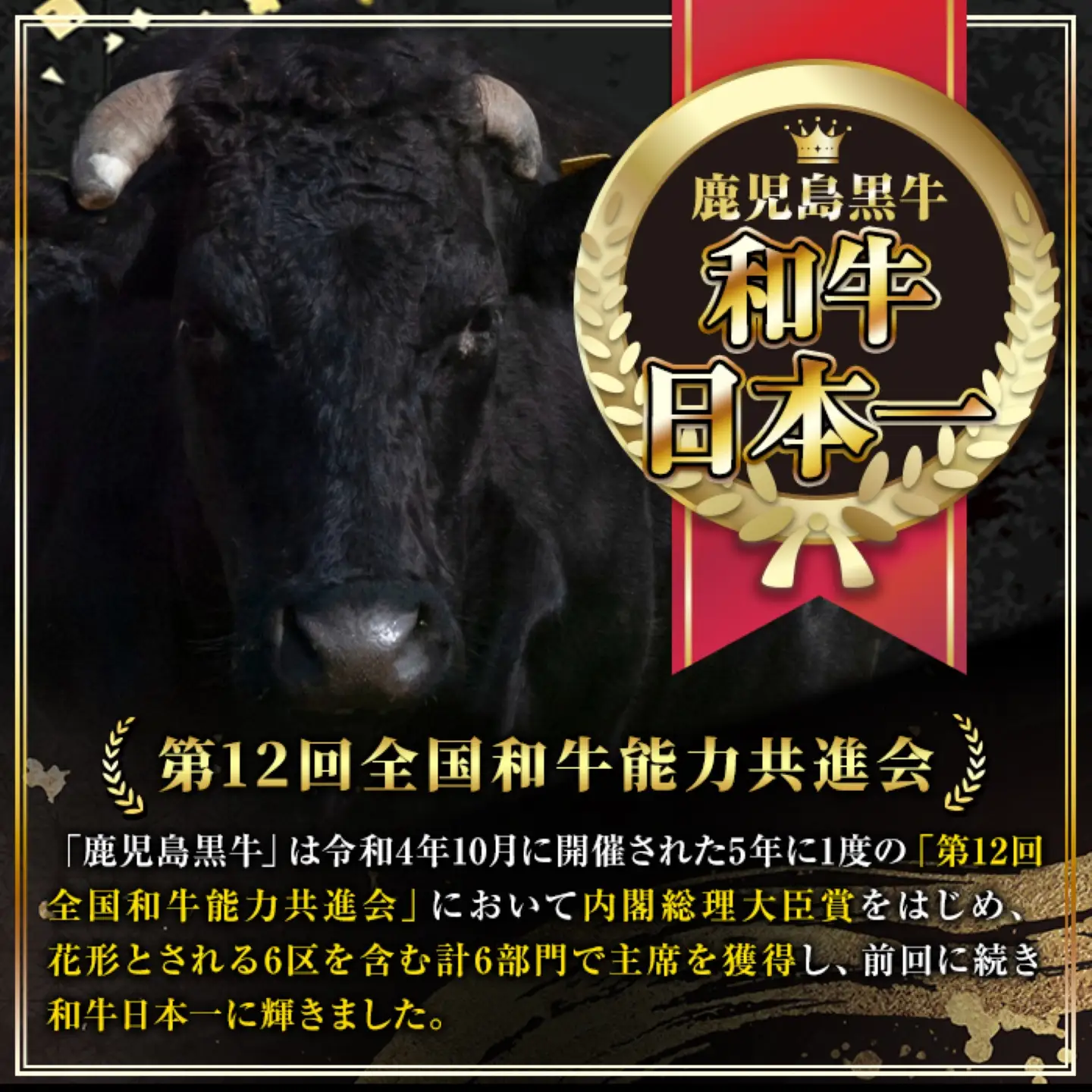 【A01018】鹿児島黒牛 カルビ 焼肉用 約600g A4 A5 等級 国産 黒毛和牛 牛肉 【新村畜産】