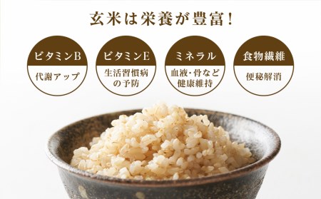 【令和7年産】【定期便 6カ月】ゆめぴりか 玄米 5kg 《杉本農園》
