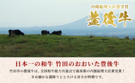 おおいた 豊後牛 1ポンド エアーズロック極厚ステーキ 約454g