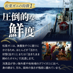 【魚倉】 足１本なしボイル松葉ガニ（並500g） かに ズワイガニ