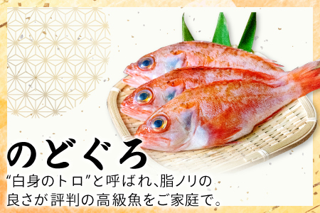 定番の干物５種詰合せセット【干物セット 人気 ノドグロ アジ エテカレイ ハタハタ 白いか のどぐろ 鯵 鰈 鰰 白イカ 島根県産 島根県沖 一夜干し 干物 ひもの 魚 高級魚 贈答 ギフト お取り寄せグルメ お中元】