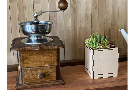 安心やすらぎ共和国 OASIS REPUBLIC -SUNAGAWA BASE- 片桐農園×空知単板工業 『多肉植物寄せ植え体験ギフトセット』 [オアリパ 北海道 砂川市 12260374] 