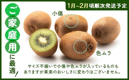 【予約受付】AB128.キウイフルーツ(グリーン)3kg程度／2027年1月～2月配送予定