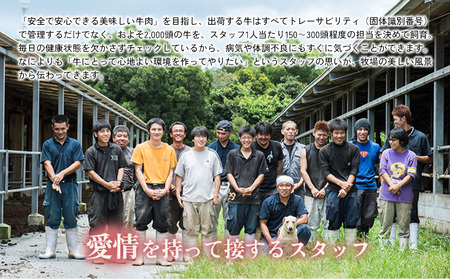 もとぶ牛モモ焼肉(自宅用)500g 牛肉 