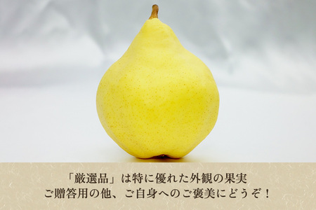 【2026年先行予約】たかはし果樹園 謹製 新潟特産 幻の洋梨ル・レクチェ 厳選品 約2kg 《11月下旬～順次配送》