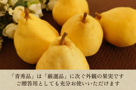 【2026年先行予約】たかはし果樹園 謹製 新潟特産 幻の洋梨ル・レクチェ 青秀品 約2kg 《11月下旬～順次配送》